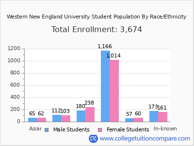 Western New England University 2025 Student Population by Gender and Race chart
