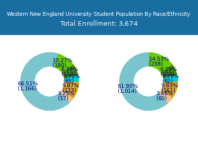 Western New England University 2025 Student Population by Gender and Race chart