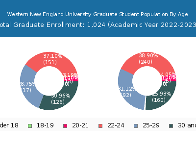 Western New England University 2023 Graduate Enrollment Age Diversity Pie chart