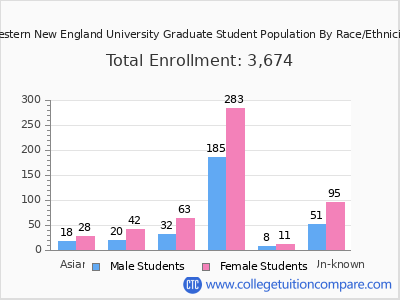 Western New England University 2025 Graduate Enrollment by Gender and Race chart