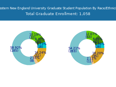 Western New England University 2025 Graduate Enrollment by Gender and Race chart