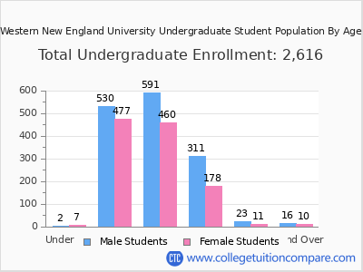 Western New England University 2025 Undergraduate Enrollment by Age chart