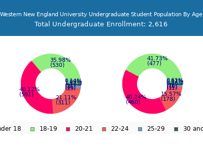 Western New England University 2025 Undergraduate Enrollment Age Diversity Pie chart