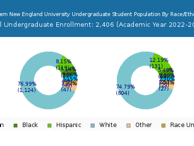 Western New England University 2023 Undergraduate Enrollment by Gender and Race chart