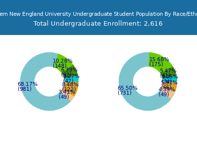 Western New England University 2025 Undergraduate Enrollment by Gender and Race chart