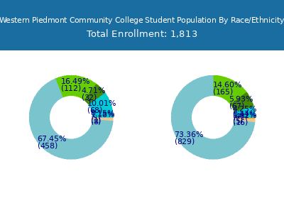 Western Piedmont Community College 2025 Student Population by Gender and Race chart