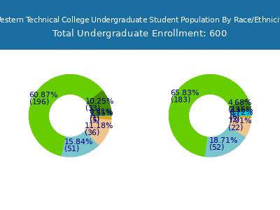 Western Technical College 2025 Undergraduate Enrollment by Gender and Race chart