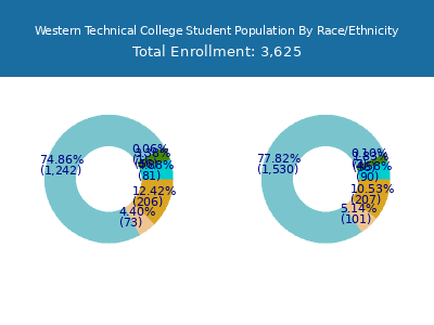 Western Technical College 2025 Student Population by Gender and Race chart