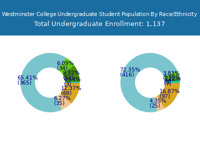 Westminster College 2025 Undergraduate Enrollment by Gender and Race chart