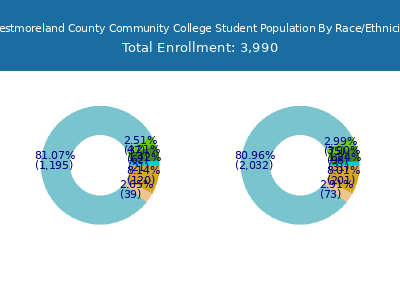 Westmoreland County Community College 2025 Student Population by Gender and Race chart