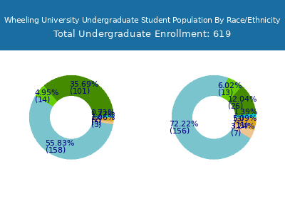 Wheeling University 2025 Undergraduate Enrollment by Gender and Race chart