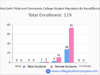 White Earth Tribal and Community College 2025 Student Population by Gender and Race chart