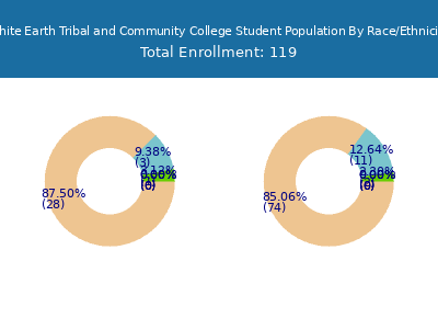 White Earth Tribal and Community College 2025 Student Population by Gender and Race chart