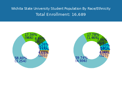 Wichita State University 2025 Student Population by Gender and Race chart