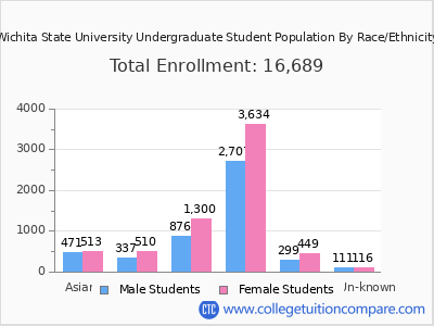 Wichita State University 2025 Undergraduate Enrollment by Gender and Race chart