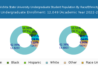 Wichita State University 2023 Undergraduate Enrollment by Gender and Race chart
