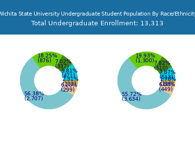 Wichita State University 2025 Undergraduate Enrollment by Gender and Race chart
