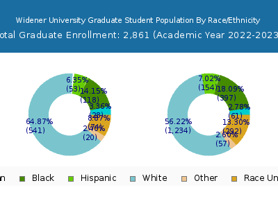 Widener University 2023 Graduate Enrollment by Gender and Race chart