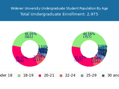 Widener University 2024 Undergraduate Enrollment Age Diversity Pie chart