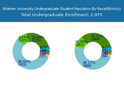 Widener University 2025 Undergraduate Enrollment by Gender and Race chart