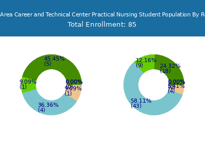 Wilkes-Barre Area Career and Technical Center Practical Nursing 2025 Student Population by Gender and Race chart
