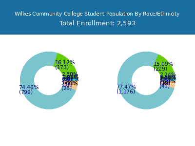 Wilkes Community College 2025 Student Population by Gender and Race chart