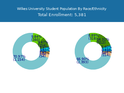 Wilkes University 2025 Student Population by Gender and Race chart