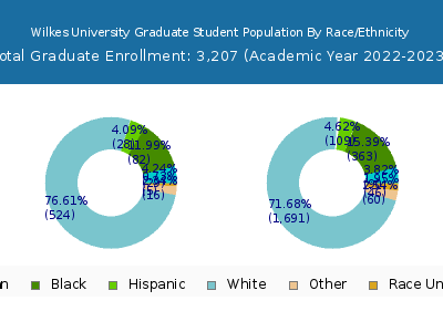 Wilkes University 2023 Graduate Enrollment by Gender and Race chart