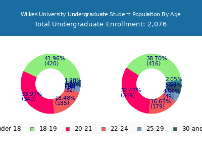 Wilkes University 2025 Undergraduate Enrollment Age Diversity Pie chart