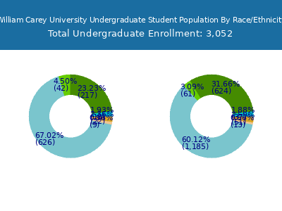William Carey University 2025 Undergraduate Enrollment by Gender and Race chart