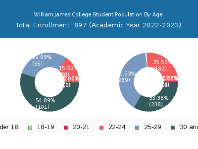 William James College 2023 Student Population Age Diversity Pie chart