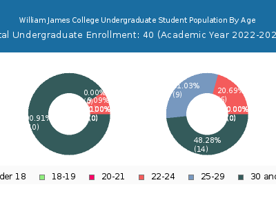 William James College 2023 Undergraduate Enrollment Age Diversity Pie chart
