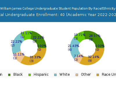 William James College 2023 Undergraduate Enrollment by Gender and Race chart