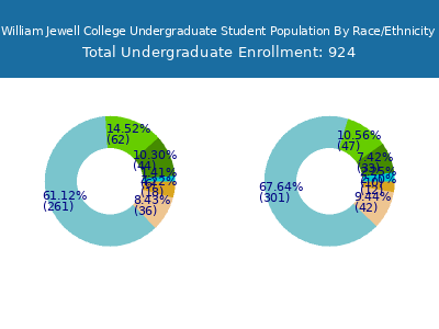 William Jewell College 2025 Undergraduate Enrollment by Gender and Race chart