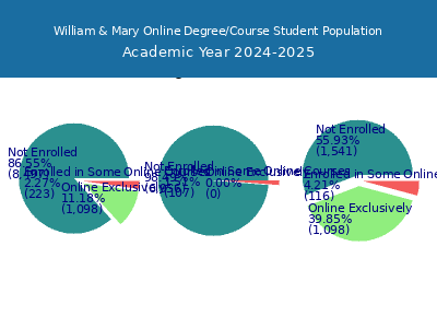 William & Mary 2025 Online Student Population chart