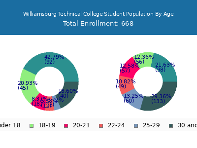Williamsburg Technical College 2025 Student Population Age Diversity Pie chart