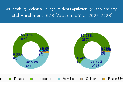 Williamsburg Technical College 2023 Student Population by Gender and Race chart