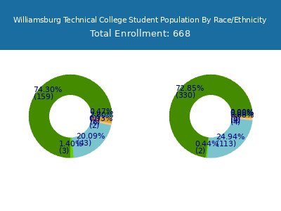Williamsburg Technical College 2025 Student Population by Gender and Race chart