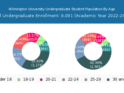 Wilmington University 2023 Undergraduate Enrollment Age Diversity Pie chart