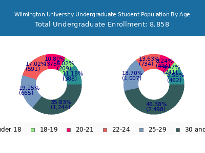 Wilmington University 2025 Undergraduate Enrollment Age Diversity Pie chart