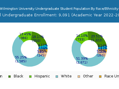 Wilmington University 2023 Undergraduate Enrollment by Gender and Race chart