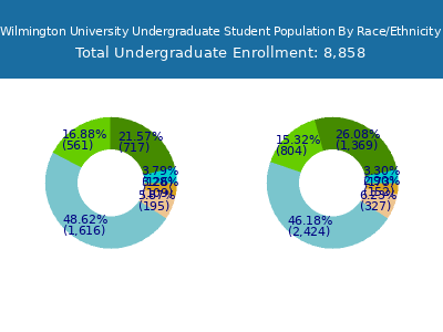 Wilmington University 2025 Undergraduate Enrollment by Gender and Race chart
