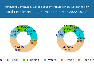 Windward Community College 2023 Student Population by Gender and Race chart