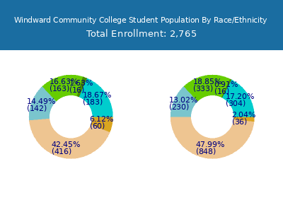 Windward Community College 2025 Student Population by Gender and Race chart