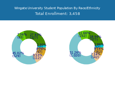 Wingate University 2025 Student Population by Gender and Race chart