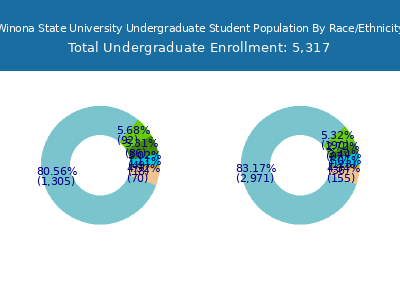 Winona State University 2025 Undergraduate Enrollment by Gender and Race chart