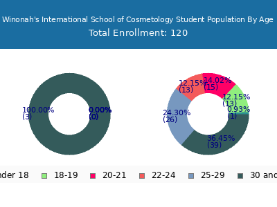 Winonah's International School of Cosmetology 2024 Student Population Age Diversity Pie chart