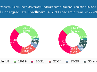 Winston-Salem State University 2023 Undergraduate Enrollment Age Diversity Pie chart