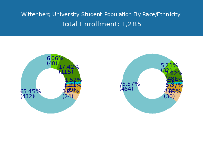 Wittenberg University 2025 Student Population by Gender and Race chart