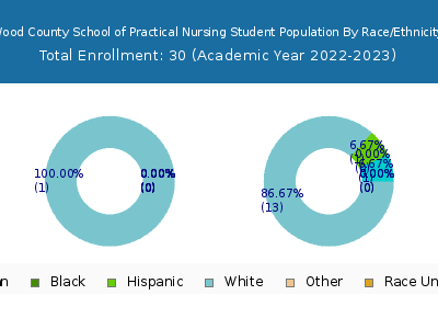 Wood County School of Practical Nursing 2023 Student Population by Gender and Race chart
